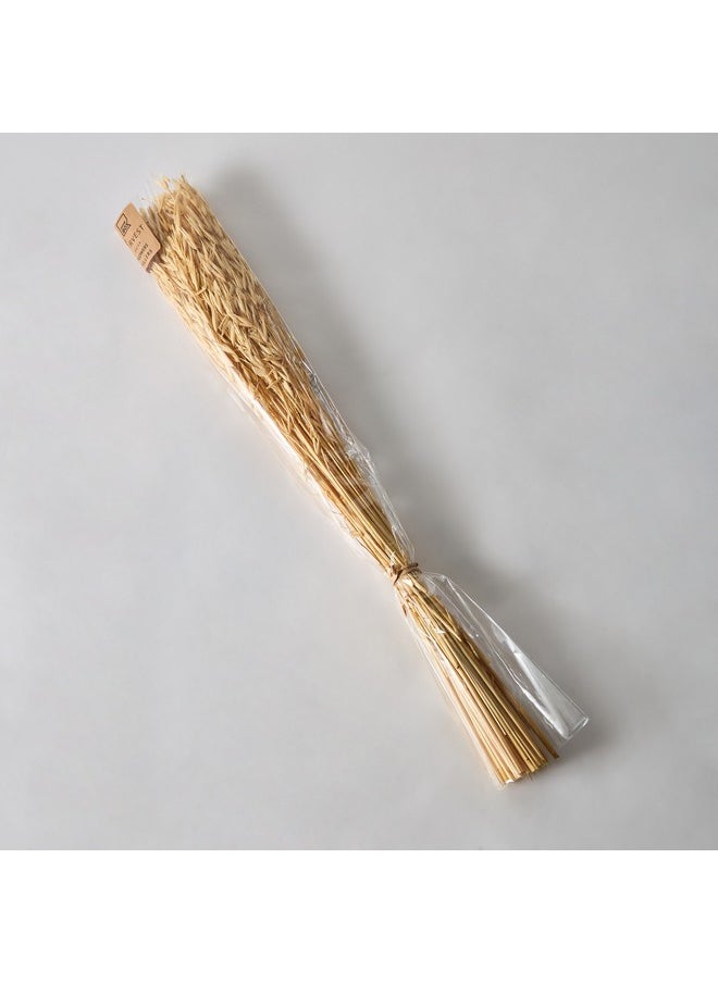 Home Box Seyna Misc Stock Hawana Grass 10 x 60 x 2 x cm  - Image 5