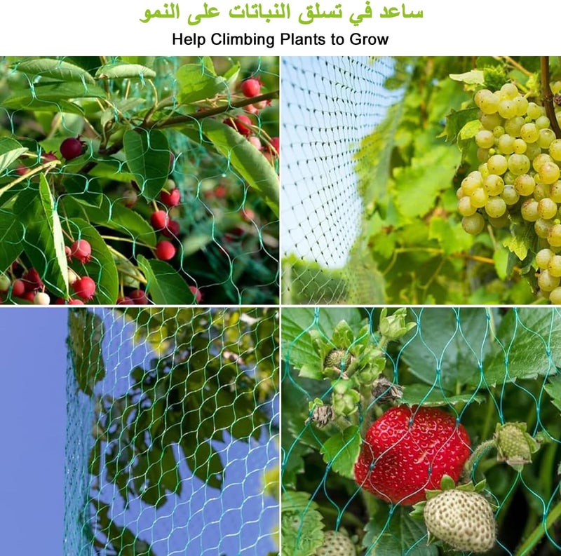 Azulmart Garden Trellis Netting, Anti Bird Protection Net 5x20M Heavy Duty Plant Climbing Vine Net Nylon Grow Netting Mesh for Vegetable Fruit Tomato Cucumber Grape Bean, Protect Plants from Rodents Birds Deer - Image 2