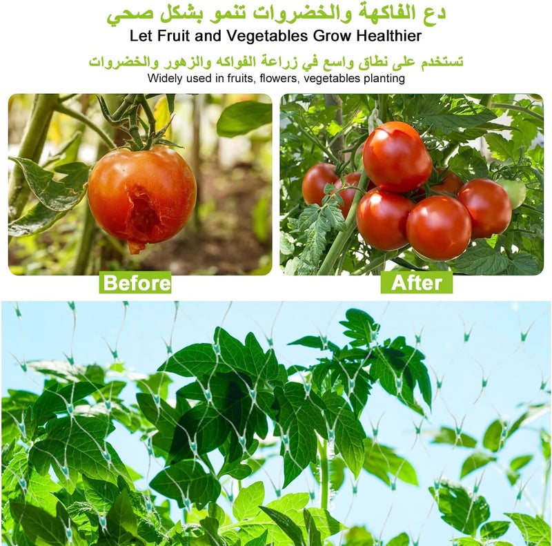 Azulmart Garden Trellis Netting, Anti Bird Protection Net 5x20M Heavy Duty Plant Climbing Vine Net Nylon Grow Netting Mesh for Vegetable Fruit Tomato Cucumber Grape Bean, Protect Plants from Rodents Birds Deer - Image 5
