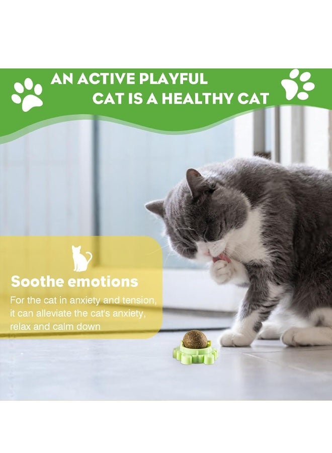 Catnip Ball Toy Avocado Roller Wall Catnip Rollerball Licking Ball Organic Nips Mint Magic Cat Stick on Wall Cat Crack Balls Lickable Play Chew Teeth Cleaning - Image 5