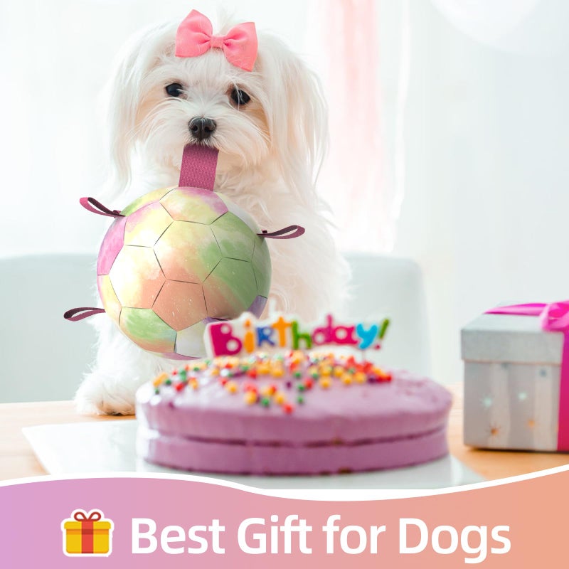 QDAN Dog Balls: Herding Ball for Dogs, Outdoor Toys Dog Soccer Ball with Straps, Interactive Pet Toys for World Cup Large Dogs Tug of War, Pet Birthday Gifts,Gradient Rainbow (8 Inch) - Image 3