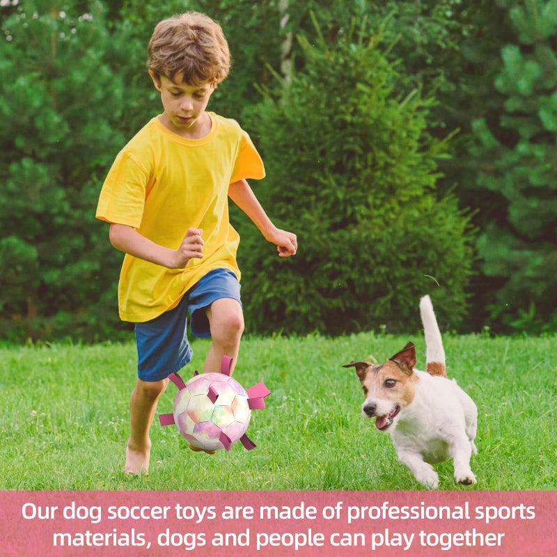 QDAN Dog Balls: Herding Ball for Dogs, Outdoor Toys Dog Soccer Ball with Straps, Interactive Pet Toys for World Cup Large Dogs Tug of War, Pet Birthday Gifts,Gradient Rainbow (8 Inch) - Image 4