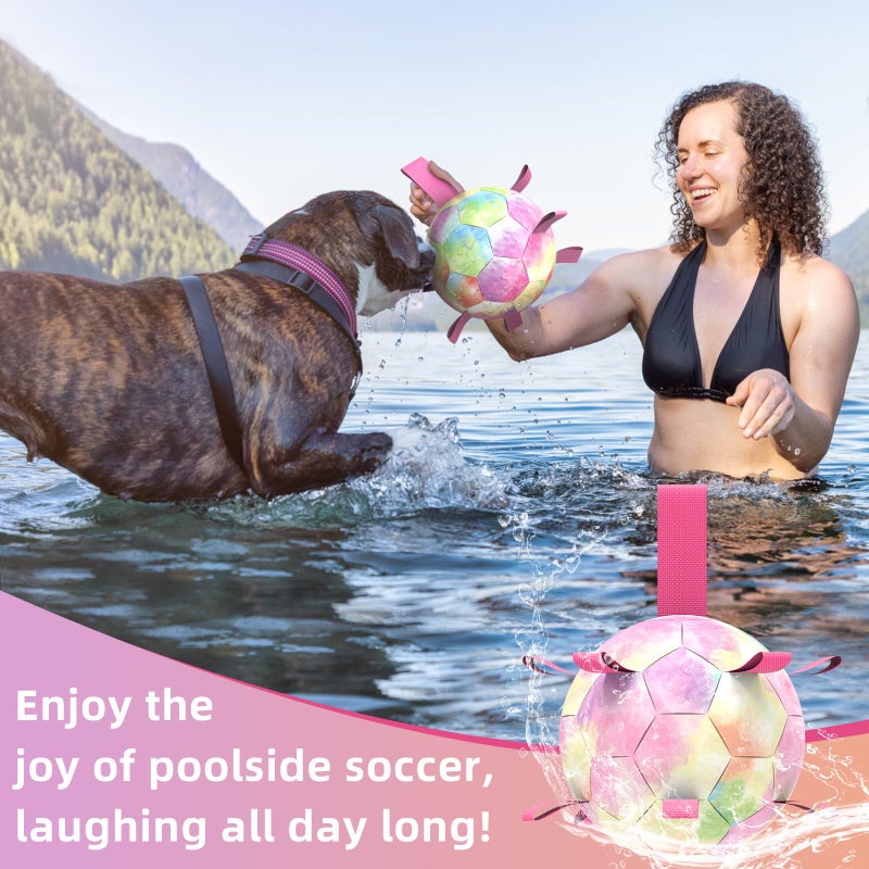 QDAN Dog Balls: Herding Ball for Dogs, Outdoor Toys Dog Soccer Ball with Straps, Interactive Pet Toys for World Cup Large Dogs Tug of War, Pet Birthday Gifts,Gradient Rainbow (8 Inch) - Image 2