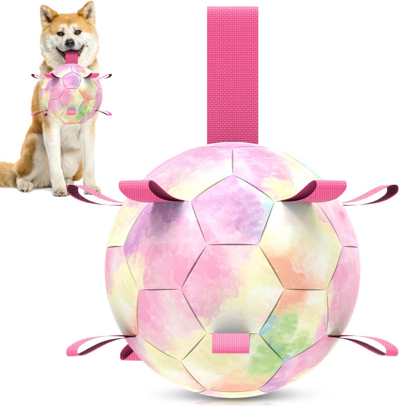 QDAN Dog Balls: Herding Ball for Dogs, Outdoor Toys Dog Soccer Ball with Straps, Interactive Pet Toys for World Cup Large Dogs Tug of War, Pet Birthday Gifts,Gradient Rainbow (8 Inch) - Image 1