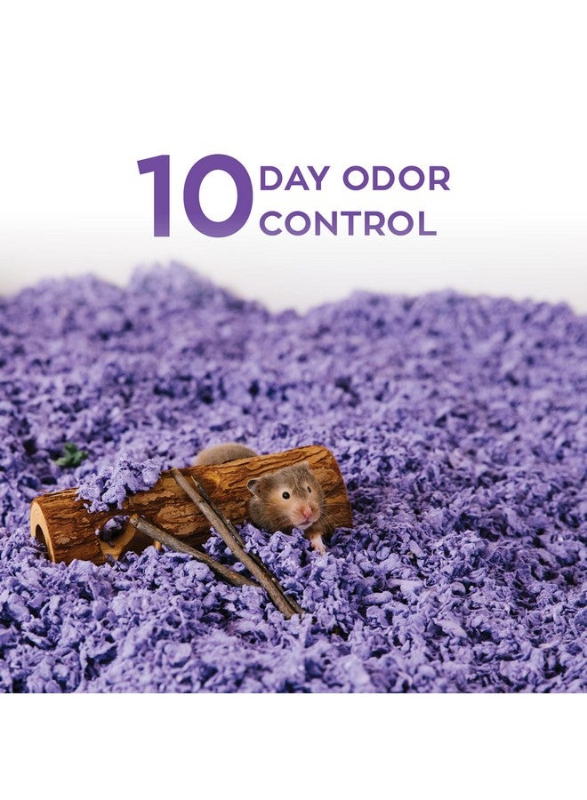 Carefresh 99% Dust-Free Playful Purple Natural Paper Small Pet Bedding with Odor Control, 50 L - Image 3