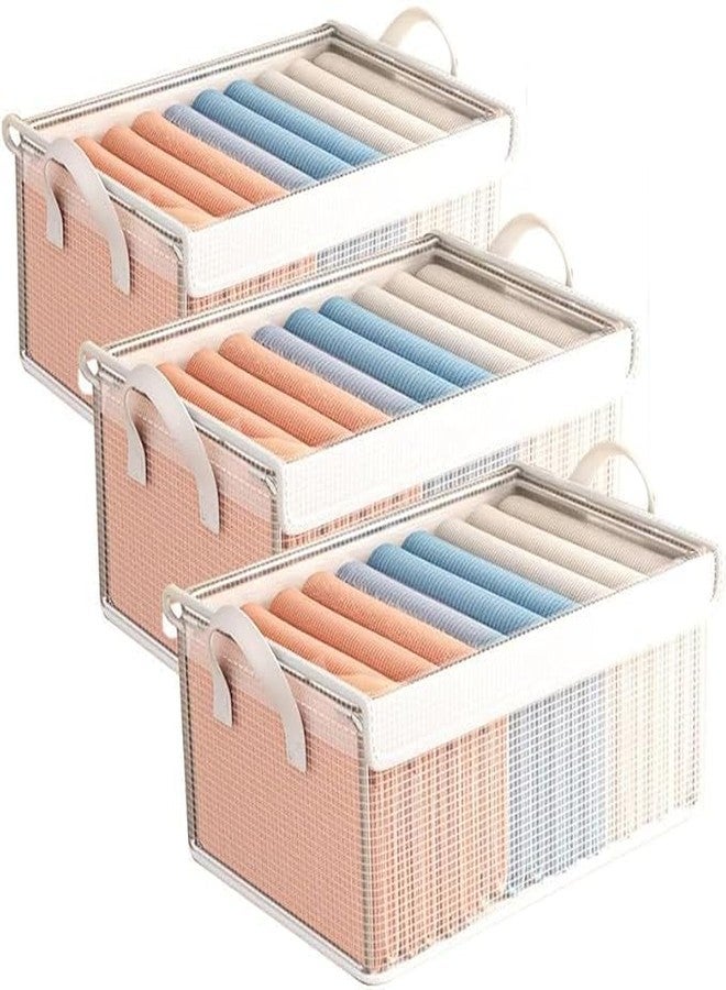 Whimsical PVC Transparent Clothes Organizer Storage Box/Steel Frame Wardrobe Organizer/Foldable Clothes Storage/Transparent Clothes Storage Box - Image 2