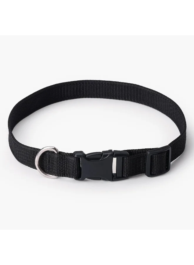 هوم بوكس Canine Nylon Pet Collar - Large