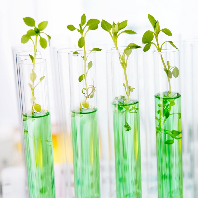 Test Tube with Lid, Durable Storage Containers for Laboratory Use, Lightweight Design - Image 3