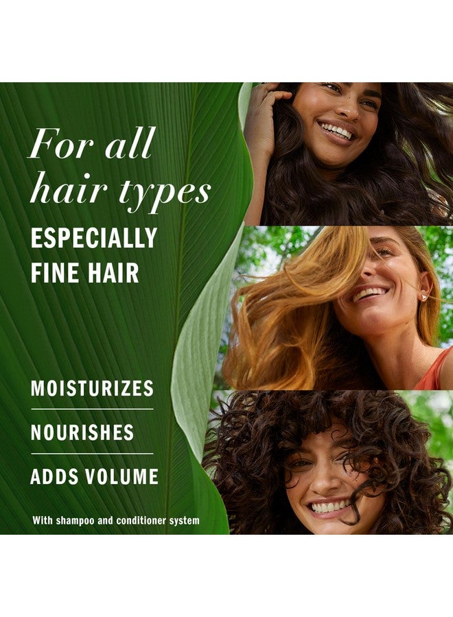 Procter & Gamble Herbal Essences Grapefruit Volumizing Conditioner, 13.5 Fl Oz, with Certified Camellia Oil and Aloe Vera, For All Hair Types, Especially Fine Hair - Image 2