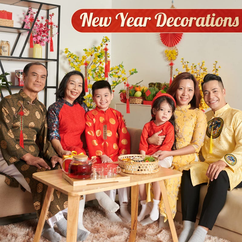 ISKYBOB Chinese Feng Shui Coins, Set of 6 I Ching Coins with Red Chinese Knot String Vintage Lucky Fortune Coins Charm for Home Car Hanging Decoration - Image 4