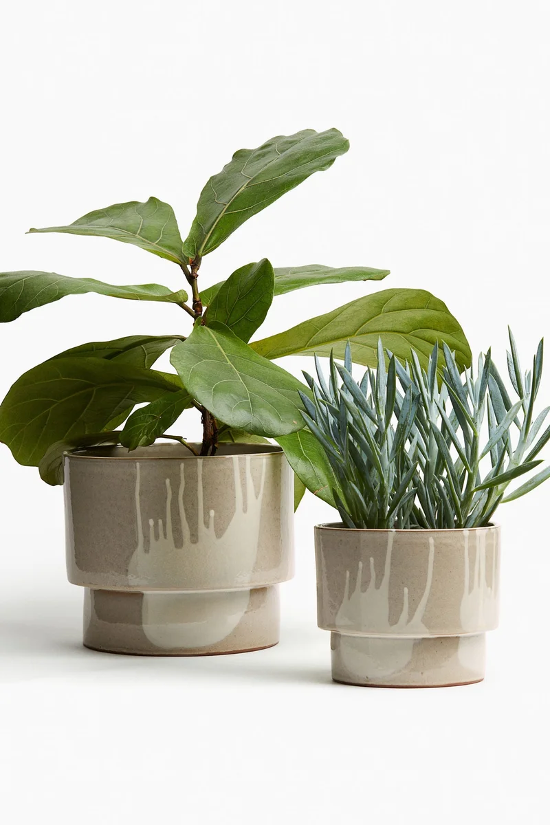 H&M Terracotta plant pot