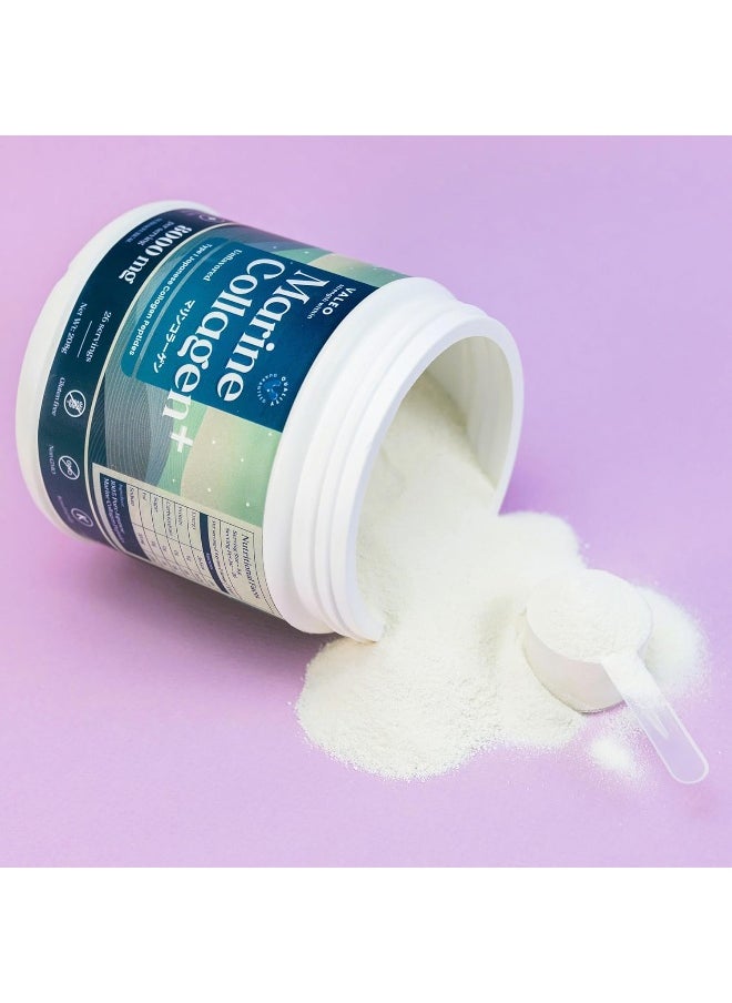 VALEO - Marine Collagen Japanese Collagen Peptides Unflavored 208 Gm, 8 G Per Serving - Image 1