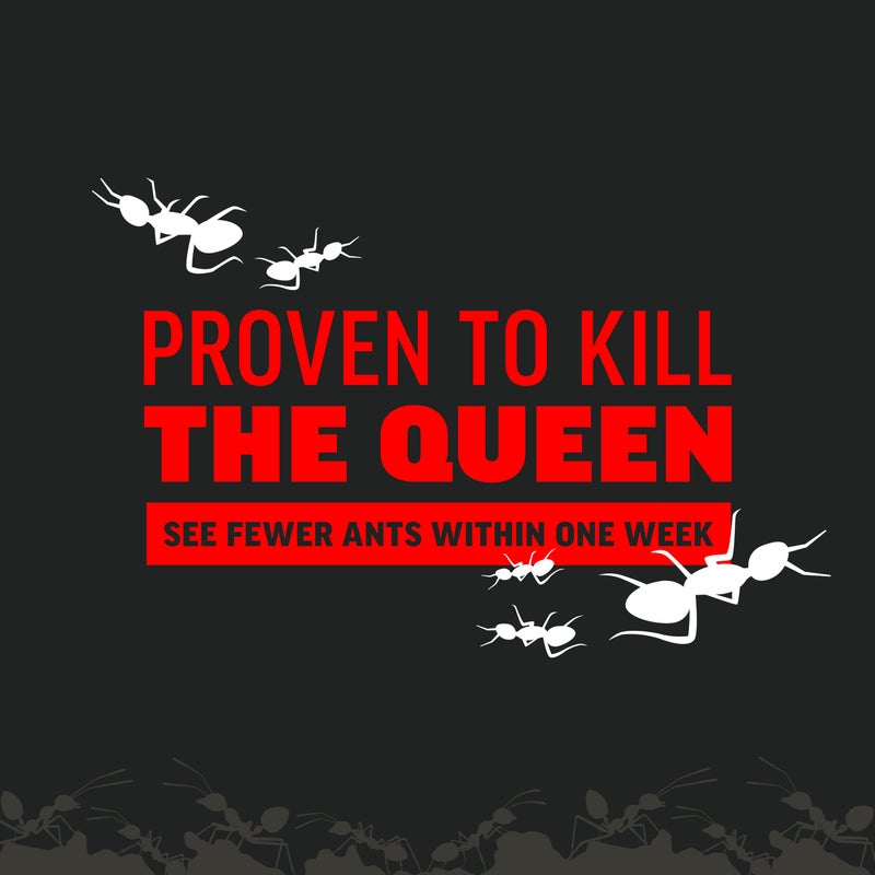 Amdro Ant Killer for Outdoor Home Perimeter, 12oz - Image 4