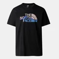 THE NORTH FACE Black