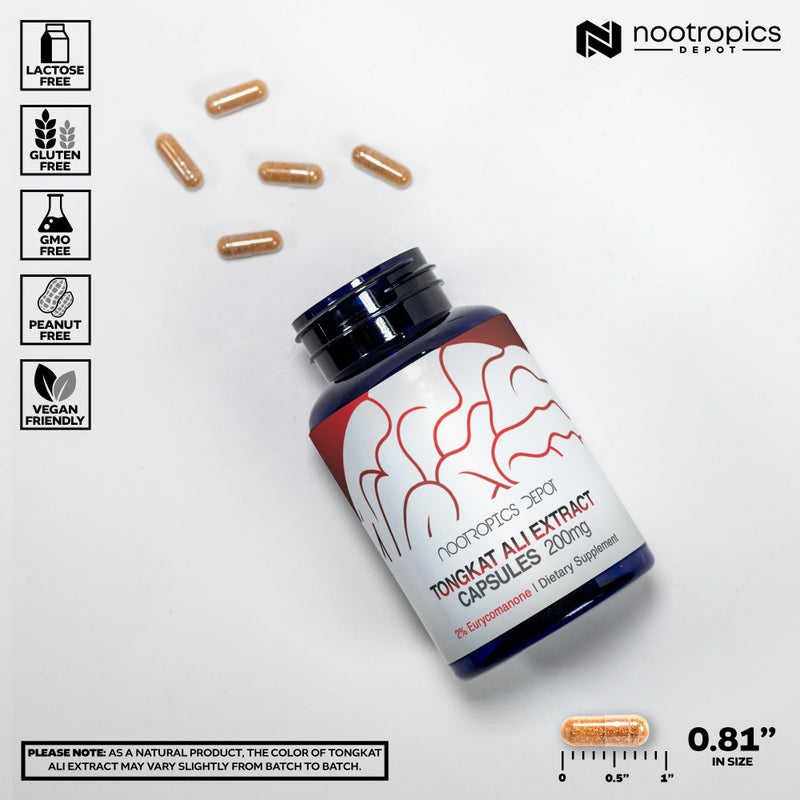 Nootropics Depot Tongkat Ali Extract Capsules | 200mg | 60 Count | 2% Eurycomanone by HPTLC | Eurycoma longifolia Root Extract - Image 3