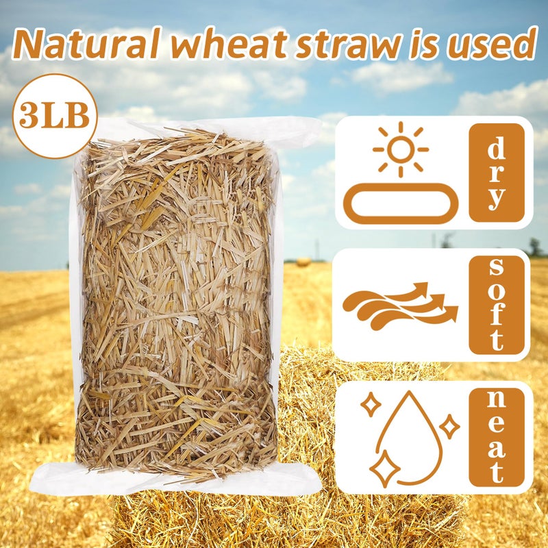 WNJ 3LB Natural Wheat Straw, Premium Organic Straw for Animal Bedding, Garden Mulch, Compost, and DIY Crafts - Eco-Friendly, Chemical-Free, and Multi-Purpose - Image 2
