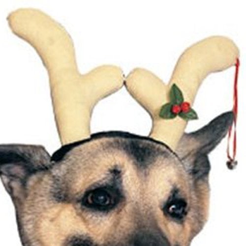 Rubies Rubie's Dog Reindeer Antlers Costume Accessory - Image 4