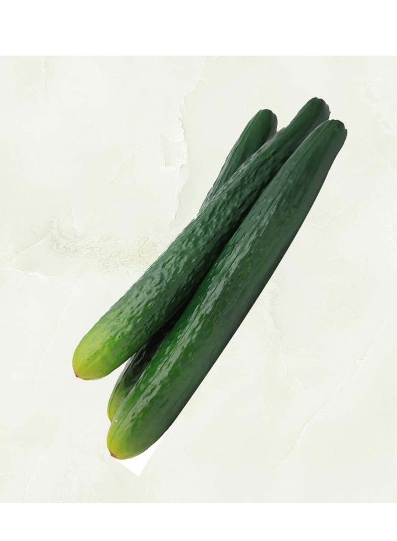 2Pcs Lifelike Soft PU Artificial Cucumbers - Decorative Vegetable Models for Home Decor, Cabinet Displays, DIY Projects, and Photography Props for Shopping Malls and Events.