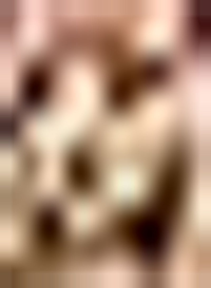 GGOOT 5pcs Pink Tulip Seeds Planted in Outdoor Garden Flowering Perennial Adapt to Various Environmental Conditions DIY Garden Craft Art Decoration - Image 2