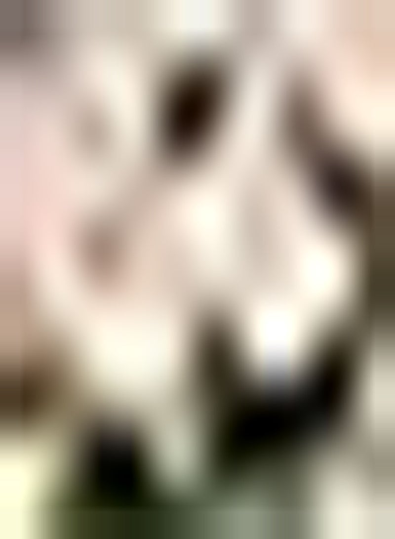 GGOOT 5pcs Pink Tulip Seeds Planted in Outdoor Garden Flowering Perennial Adapt to Various Environmental Conditions DIY Garden Craft Art Decoration - Image 1