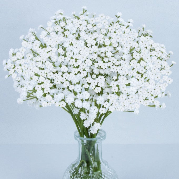 MAQIAHN 6 BABY BREATH ARTIFICIAL FLOWERS BABIES BREATH FLOWERS ARTIFICIAL BULK FAUX FLOWERS BOUQUET WHITE FLORES GREENERY REAL TOUCH FAKE FLOWERS ARRANGEMENTS WEDDING CENTERPIECES TABLES DECORATIONS