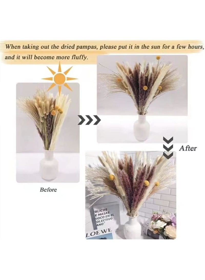 Zikra Natural Dried Pampas Grass, Boho Decor Fluffy White Pompous Grass Large Reed Bunny Tail Wheat Stalk Decorative Plumes Italian Ruscus Solidago Goldenrod Flower Bouquet (style 3) - Image 5