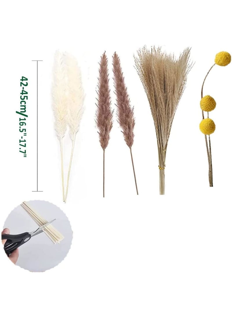 Zikra Natural Dried Pampas Grass, Boho Decor Fluffy White Pompous Grass Large Reed Bunny Tail Wheat Stalk Decorative Plumes Italian Ruscus Solidago Goldenrod Flower Bouquet (style 3) - Image 4