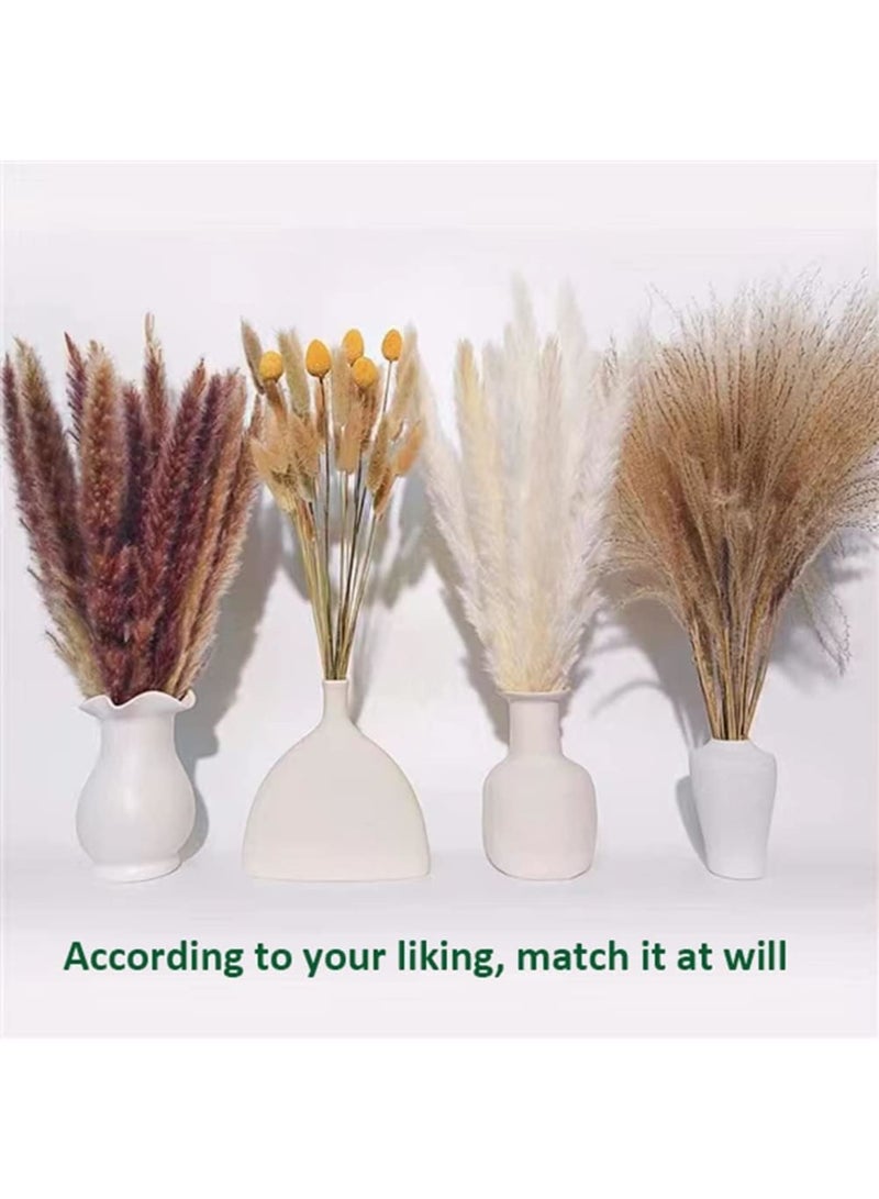 Zikra Natural Dried Pampas Grass, Boho Decor Fluffy White Pompous Grass Large Reed Bunny Tail Wheat Stalk Decorative Plumes Italian Ruscus Solidago Goldenrod Flower Bouquet (style 3) - Image 2