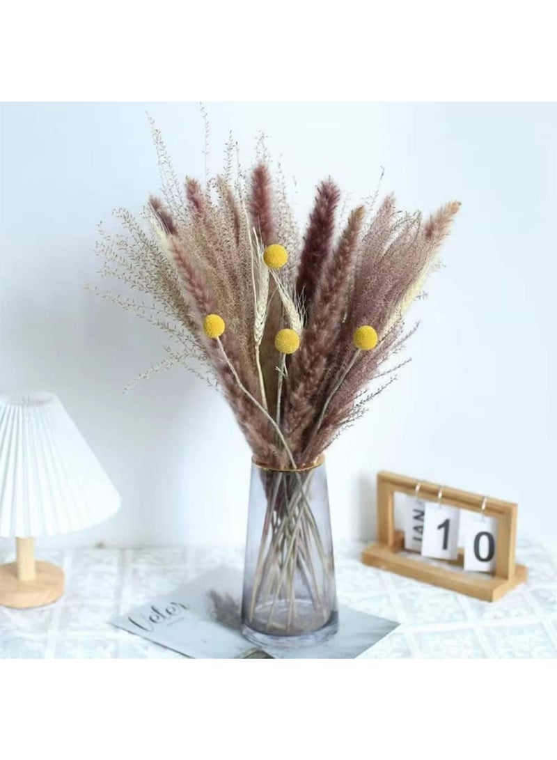 Zikra Natural Dried Pampas Grass, Boho Decor Fluffy White Pompous Grass Large Reed Bunny Tail Wheat Stalk Decorative Plumes Italian Ruscus Solidago Goldenrod Flower Bouquet (style 3) - Image 3