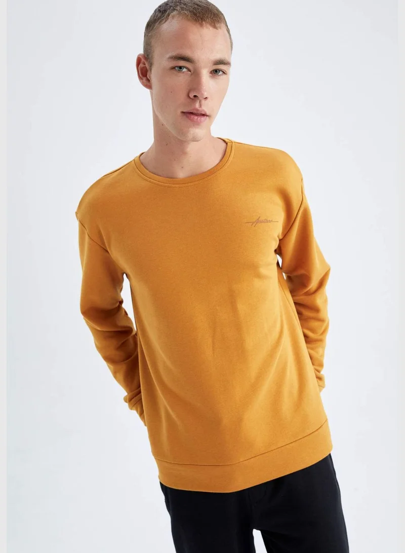 DeFacto Man Crew Neck Long Sleeve Knitted Sweatshirt