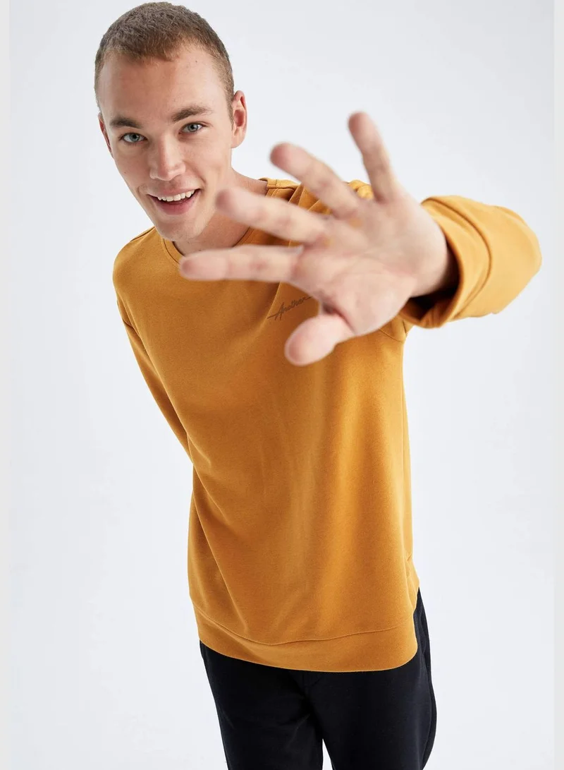 DeFacto Man Crew Neck Long Sleeve Knitted Sweatshirt