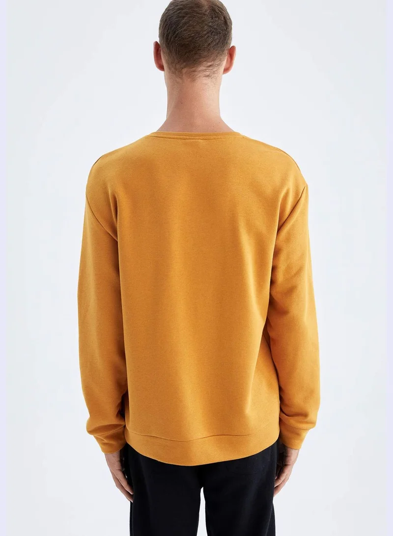 DeFacto Man Crew Neck Long Sleeve Knitted Sweatshirt