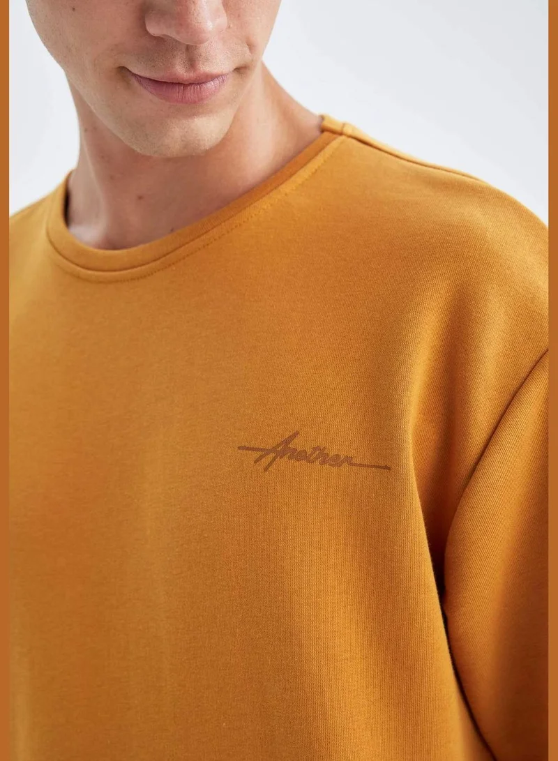 DeFacto Man Crew Neck Long Sleeve Knitted Sweatshirt