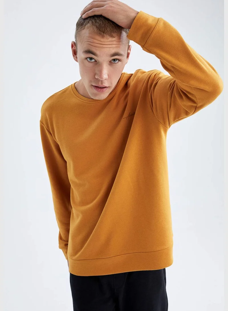 DeFacto Man Crew Neck Long Sleeve Knitted Sweatshirt