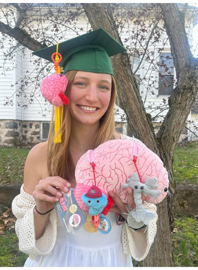 Giant Microbes GIANTmicrobes Deluxe 9.5" Brain with Neuron Plush, Gift for Med Student, Gifts for Neurologist, Brain Surgery Recovery, TBI Awareness, Neurology Gifts, Neuroscience Gift, Mental Health Awareness - Image 3