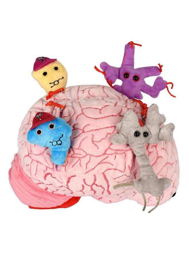 Giant Microbes GIANTmicrobes Deluxe 9.5" Brain with Neuron Plush, Gift for Med Student, Gifts for Neurologist, Brain Surgery Recovery, TBI Awareness, Neurology Gifts, Neuroscience Gift, Mental Health Awareness - Image 1