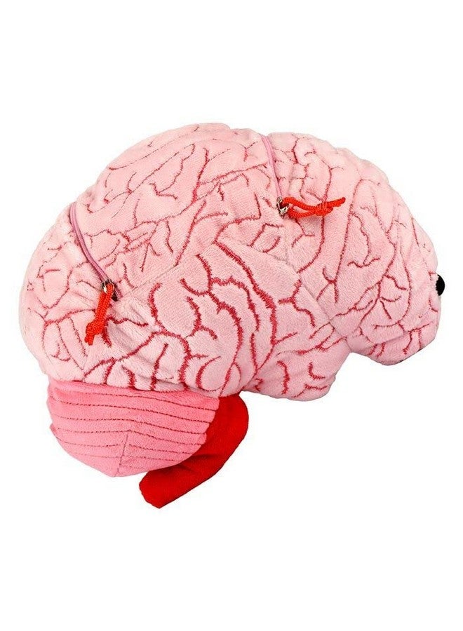 Giant Microbes GIANTmicrobes Deluxe 9.5" Brain with Neuron Plush, Gift for Med Student, Gifts for Neurologist, Brain Surgery Recovery, TBI Awareness, Neurology Gifts, Neuroscience Gift, Mental Health Awareness - Image 4