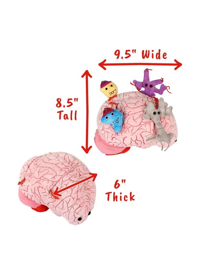 Giant Microbes GIANTmicrobes Deluxe 9.5" Brain with Neuron Plush, Gift for Med Student, Gifts for Neurologist, Brain Surgery Recovery, TBI Awareness, Neurology Gifts, Neuroscience Gift, Mental Health Awareness - Image 2