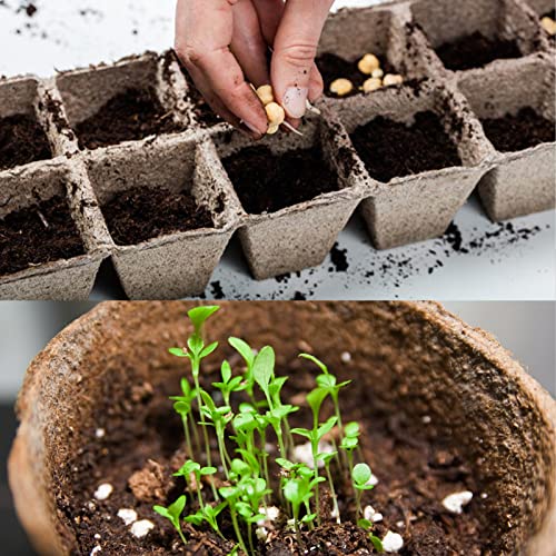 Doter Organic Sphagnum Peat Moss, Added to Soil and Enriches Plant Roots, Gardening Soil Amendment and Carnivorous Plant Soil Media(1qt) - Image 5
