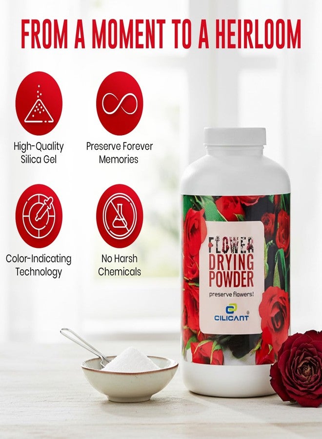 CILICAnT مسحوق جل السيليكا من سيليكانت لتجفيف الزهور، 950 مل (عبوة واحدة) (الوزن لكل زجاجة: 600 غرام)، لتجفيف الزهور، والزهور المجففة، والأعمال الفنية والحرفية، وفنون الراتنج، وديكور المنزل، مسحوق جل السيليكا قابل لإعادة الاستخدام ويشير إلى اللون - Image 3