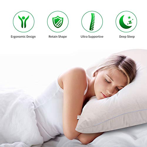 FelizMax Organic Buckwheat Pillow for Sleeping, 100% Natural Premium buckwheat Hulls, Organic Cotton Cover for Cool Sleep, Neck Support for Back and Side Sleepers, Buckwheat Refill-Japanese Size (20” x14”) - Image 4