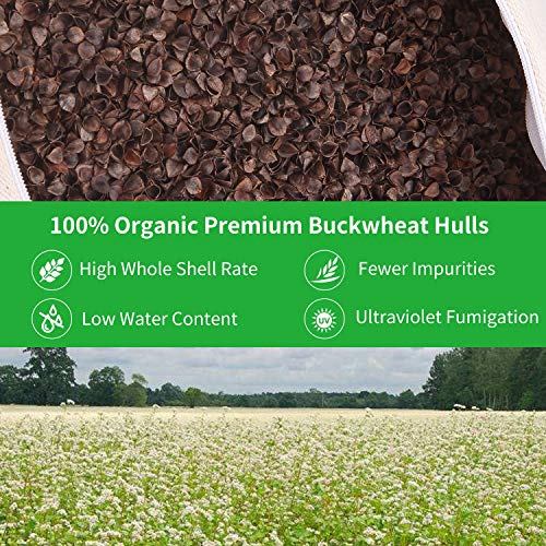 FelizMax Organic Buckwheat Pillow for Sleeping, 100% Natural Premium buckwheat Hulls, Organic Cotton Cover for Cool Sleep, Neck Support for Back and Side Sleepers, Buckwheat Refill-Japanese Size (20” x14”) - Image 3