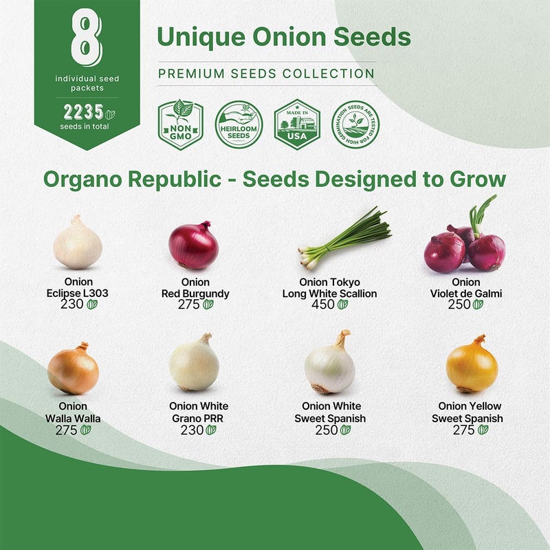Organo Republic عبوة متنوعة من بذور البصل 8 من أورجانو ريبابليك، وراثية، غير معدلة وراثيًا، لمجموعات الزراعة الداخلية والخارجية. 2200+ بذور: وولا وولا، بصل أخضر، بصل أحمر بورغندي، بصل أبيض وأصفر حلو إسباني. - Image 3