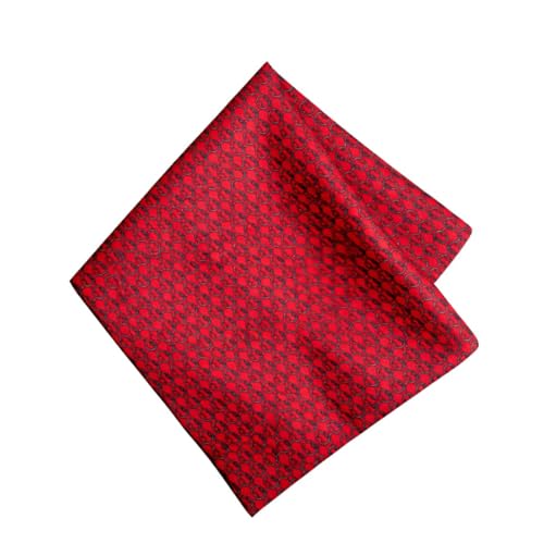 LEONARDI Mens Printed Pocket Square | Satin | Microfiber | 12 x 12 inches | tweed fabric | Superior finishing| Packaging – folder | Red Paisley | (Set of 1) - Image 1