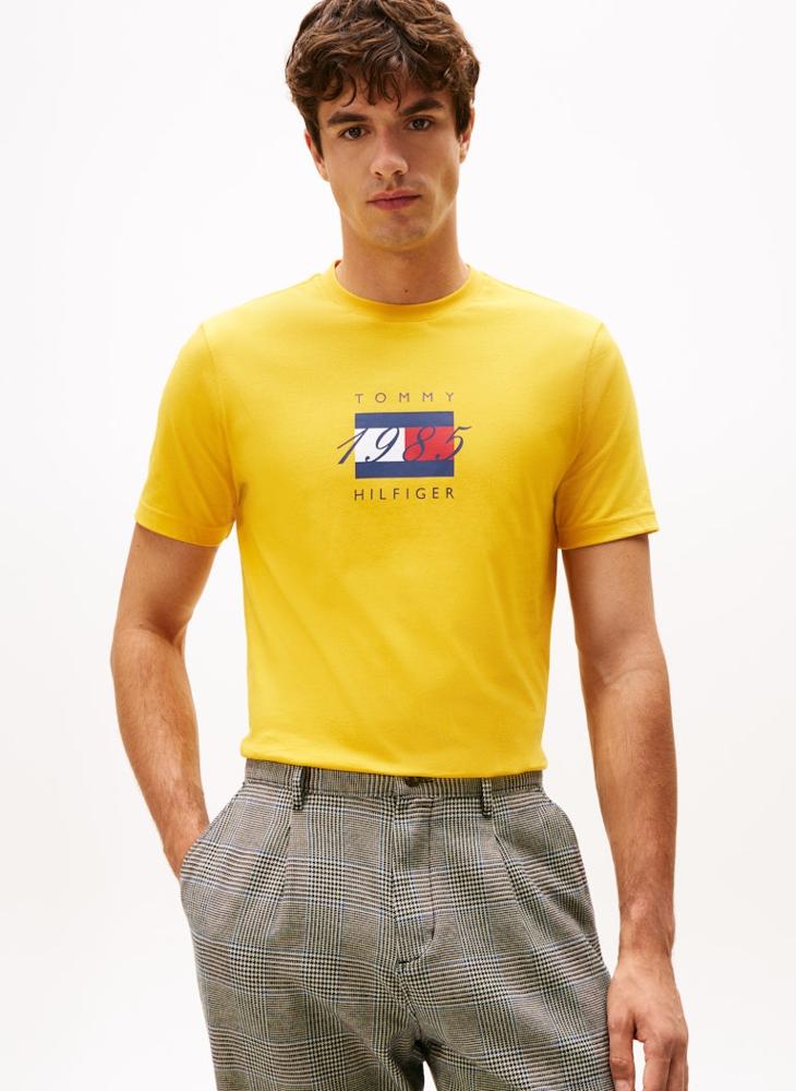 تومي هيلفيغر تيشيرت جيرسي برسومات علم - Image 1