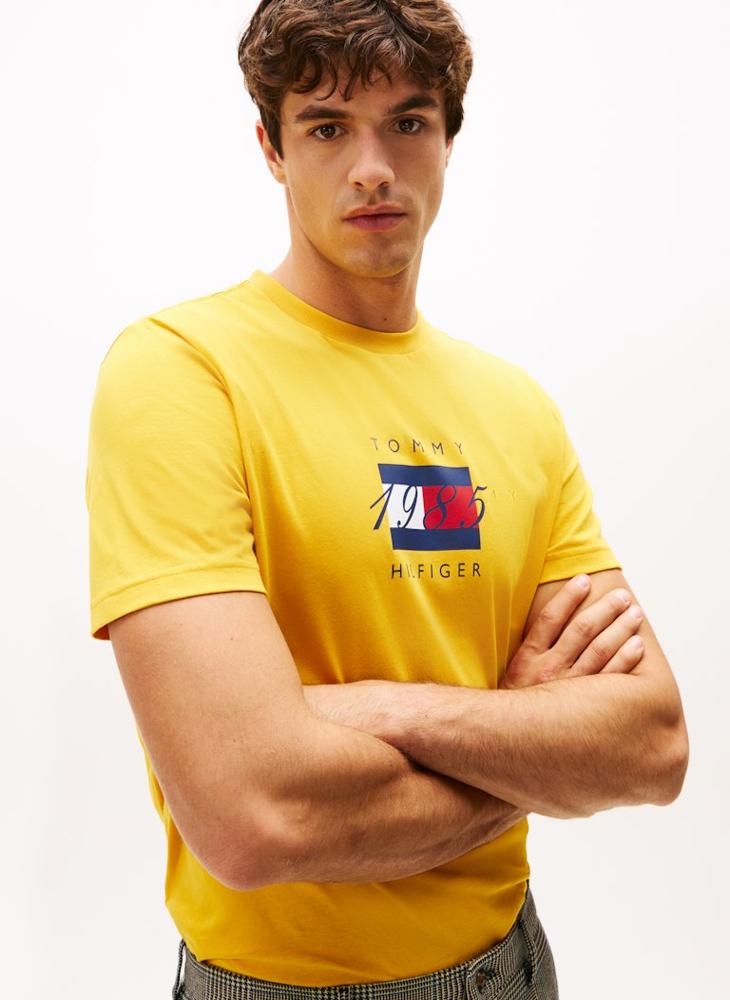 تومي هيلفيغر تيشيرت جيرسي برسومات علم - Image 3