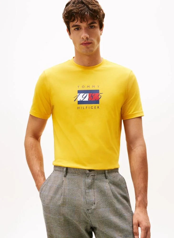 Flag Graphic Jersey T-Shirt