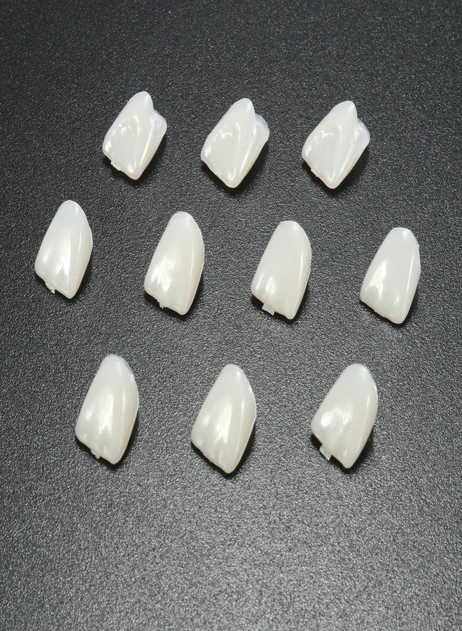 Ceonam 120 Pieces Fake Tooth Cap Crown Front Teeth with Tooth Repair Thermal Beads Cap Filler for Teaching or DIY (120pcs Front - Image 4