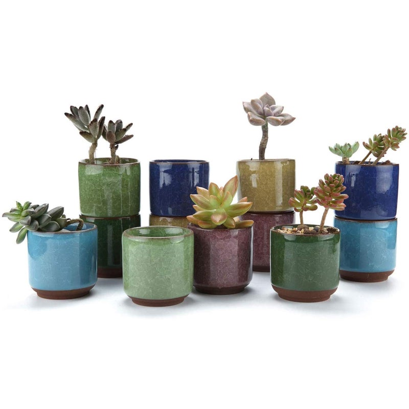 T4U 2.5 Inch Small Ceramic Succulent Planter Pot with Drainage Hole Set of 12, Ice Crack Glaze Plant Container for Cactus, Plant Lover Gifts for Women Mom Coworker Home Office Decor - Image 1
