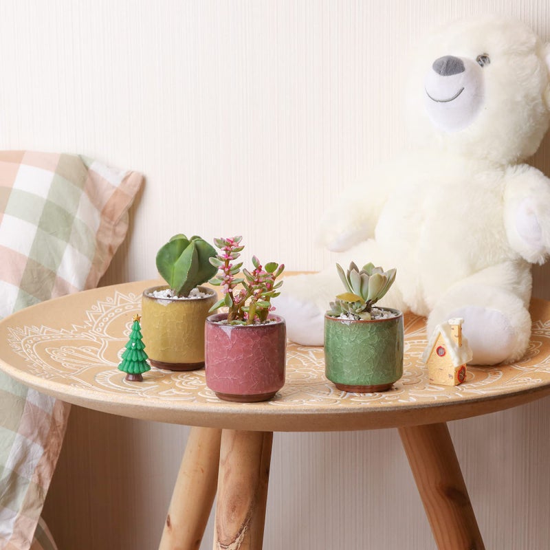 T4U 2.5 Inch Small Ceramic Succulent Planter Pot with Drainage Hole Set of 12, Ice Crack Glaze Plant Container for Cactus, Plant Lover Gifts for Women Mom Coworker Home Office Decor - Image 3